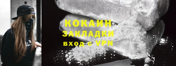 прущие грибы Карталы