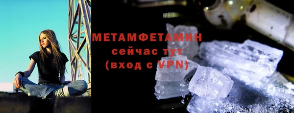 прущие грибы Карталы