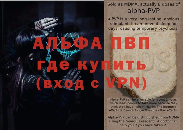 прущие грибы Карталы