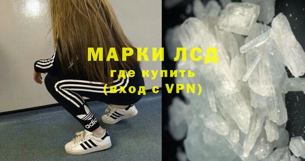 прущие грибы Карталы