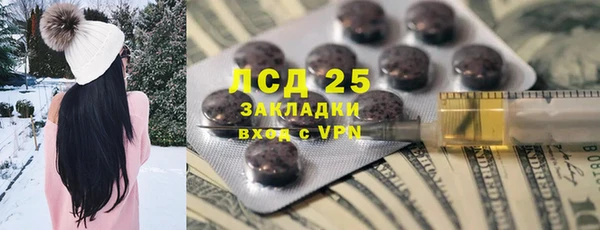 прущие грибы Карталы